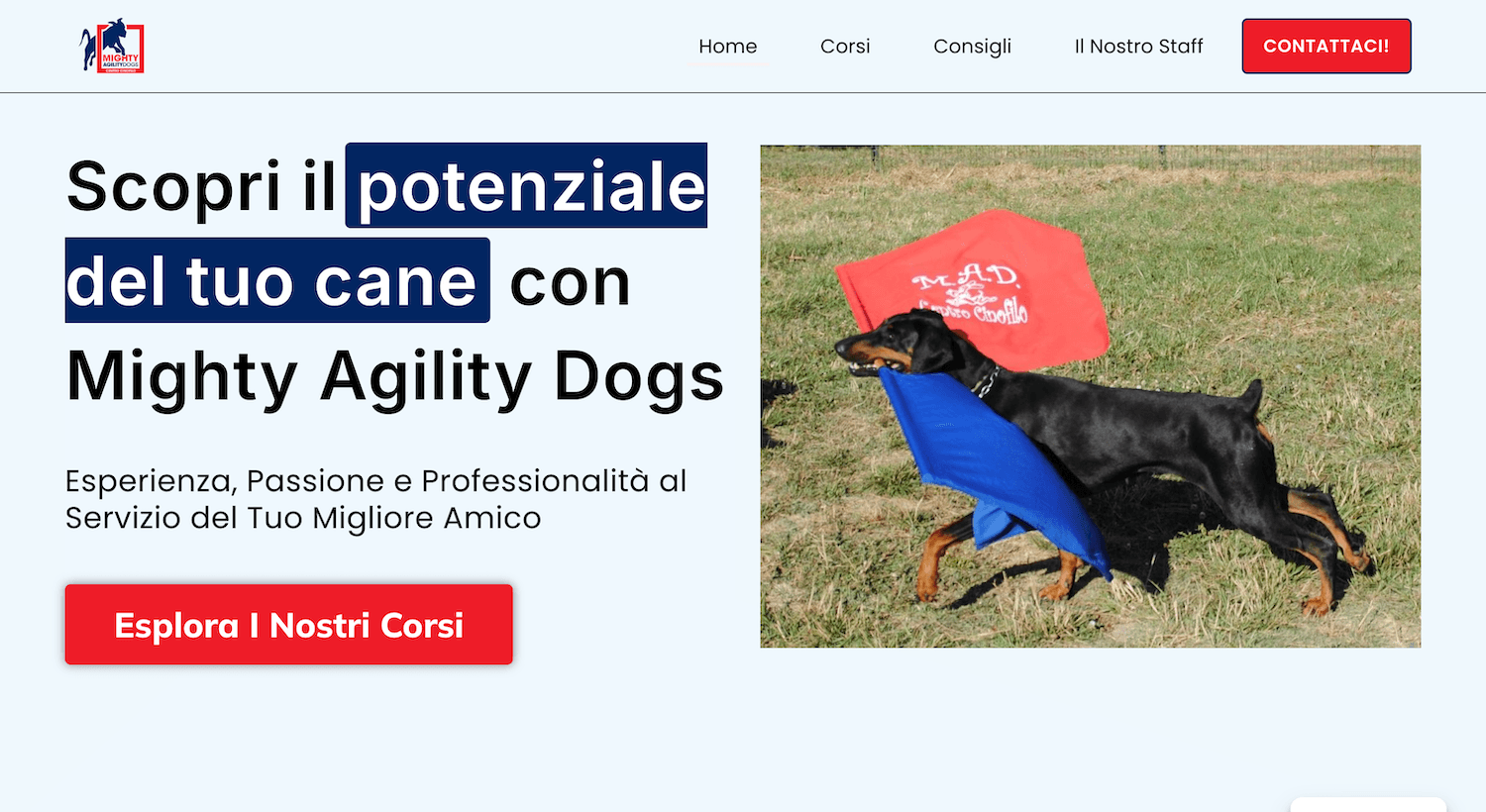 Mighty Agility Dogs — addestramento